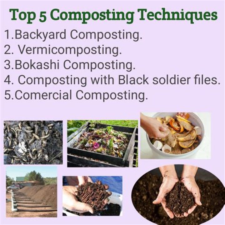 Which composting method is the best