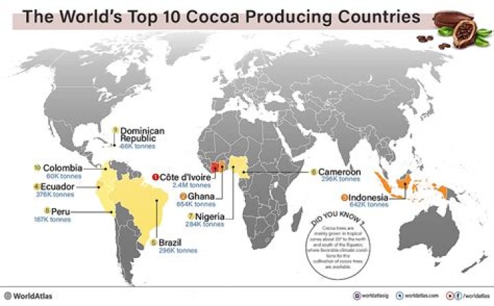 Which country is the largest exporter of cocoa