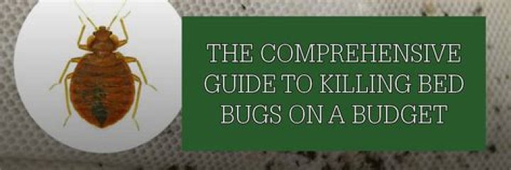 Which is the best medicine for killing bed bugs