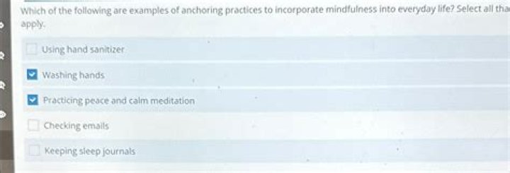 Which of the following are examples of hardware