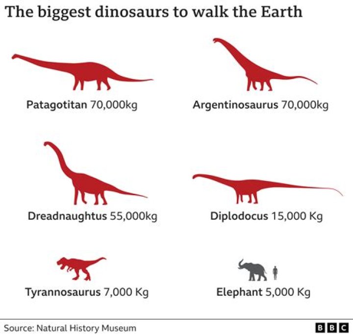 Which of the following is the largest titanosaur currently known