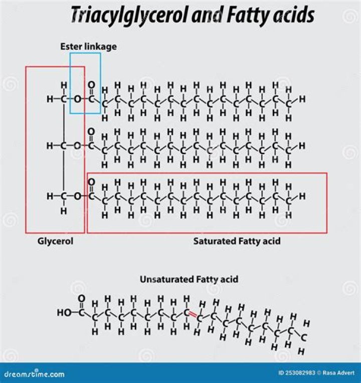 Which type of fatty acid is common in oil triglycerides