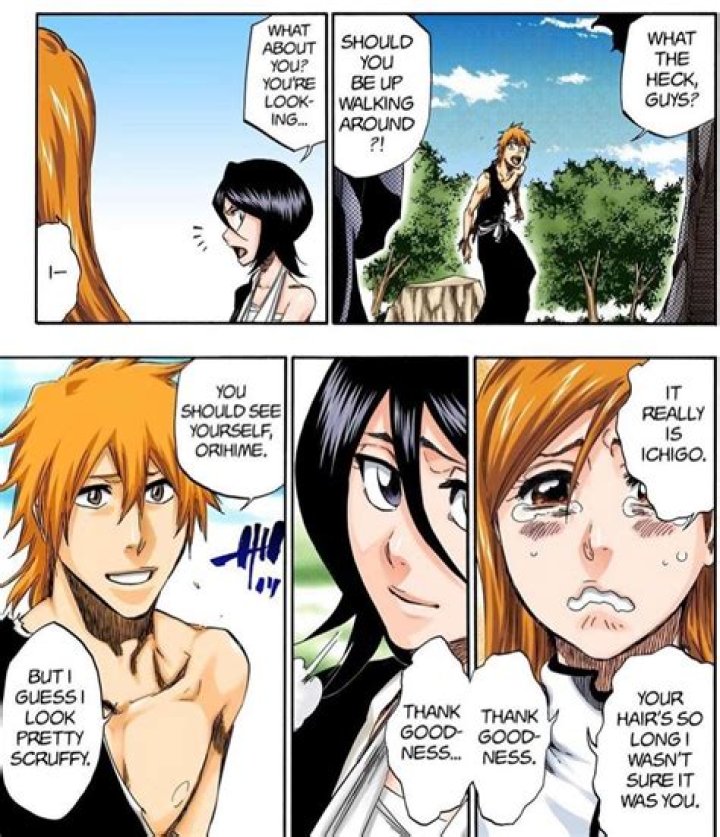 Who Does Ichigo End Up With