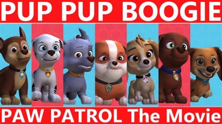 Who is the most popular Paw Patrol