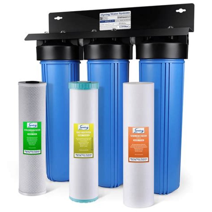 Whole house water filter replacement