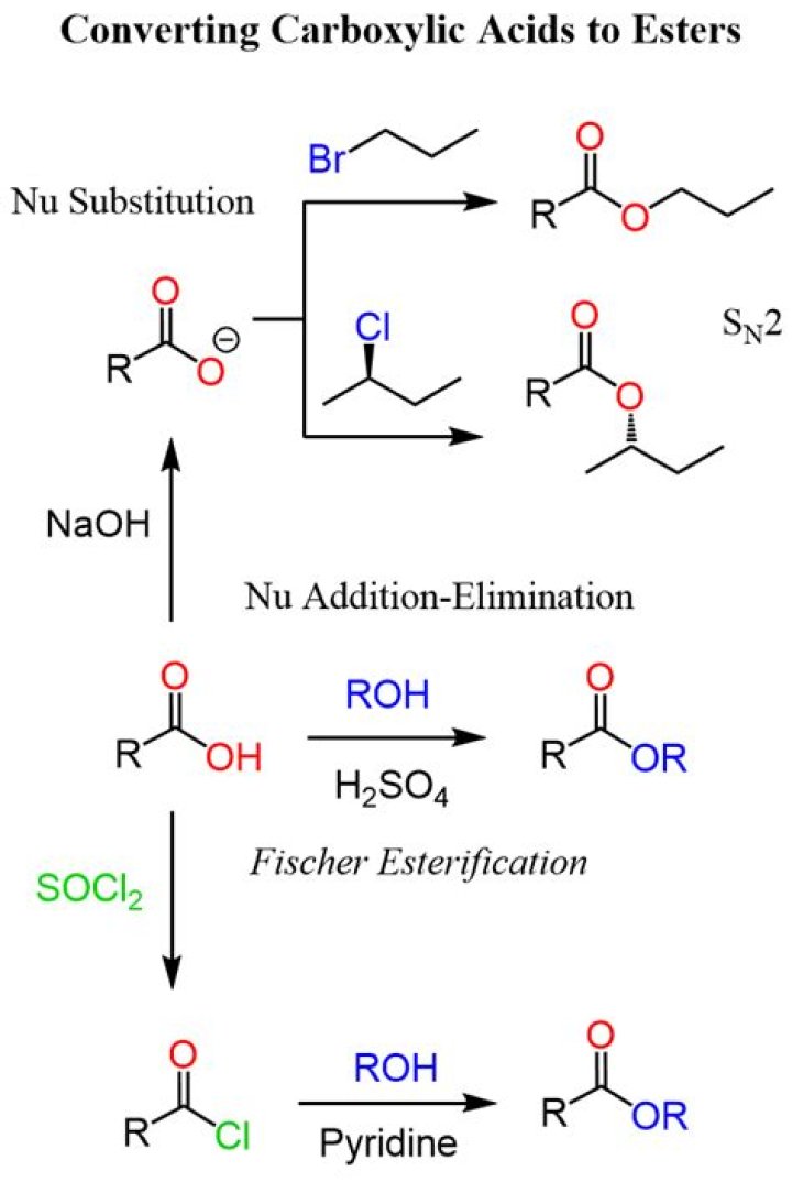 Why are esters considered derivatives of carboxylic acids