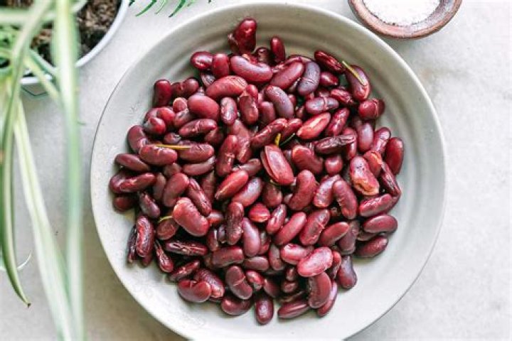 Why are red kidney beans poisonous