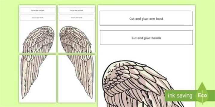 Why did Daedalus make wings