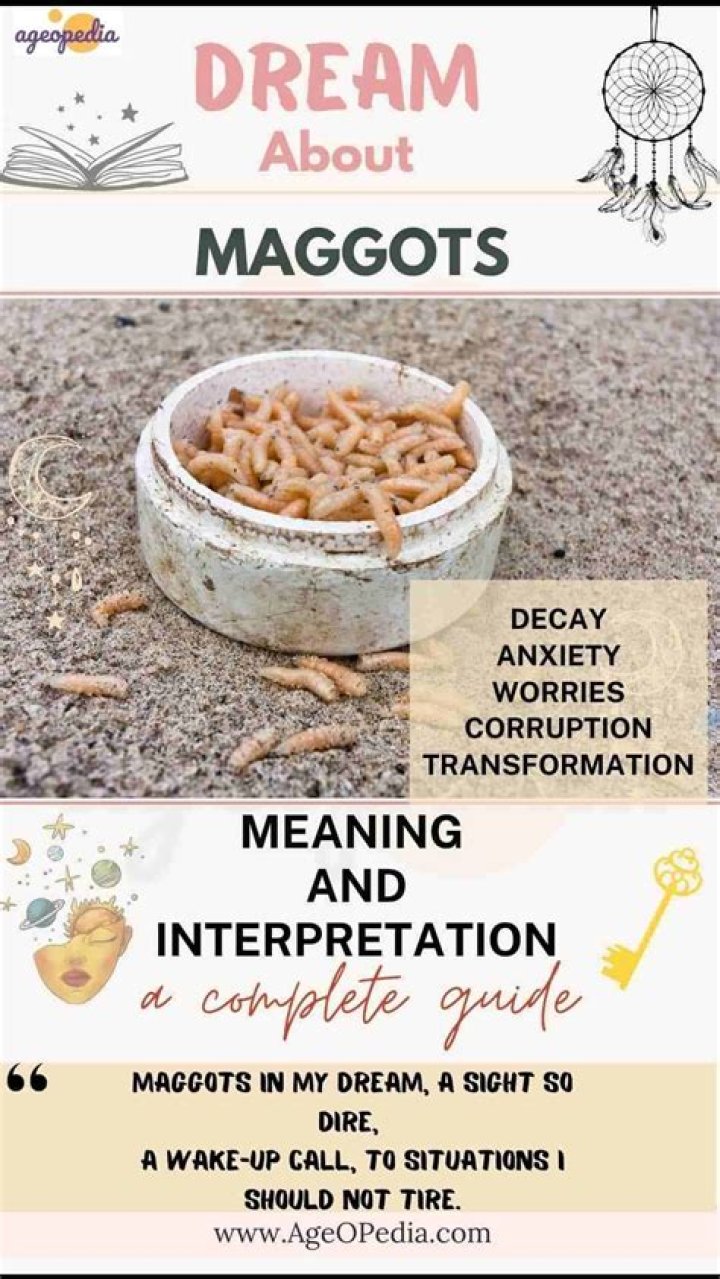 Why did I dream about maggots