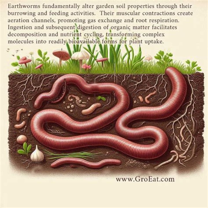 Why do earthworms turn green