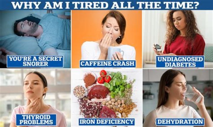 Why do I feel tired on a low carb diet