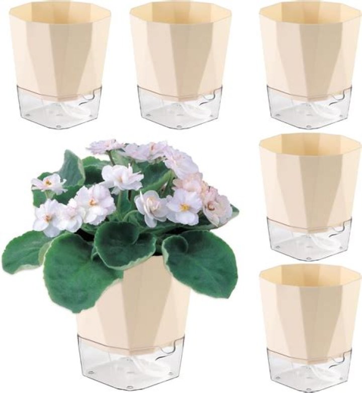 Why do they make pots without drainage holes