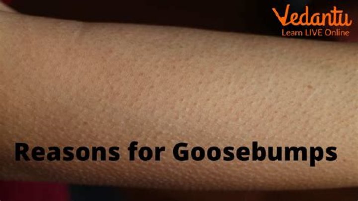 Why do we get goosebumps when we are scared