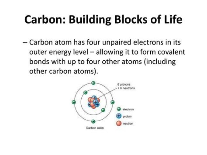 Why is carbon the building blocks of life