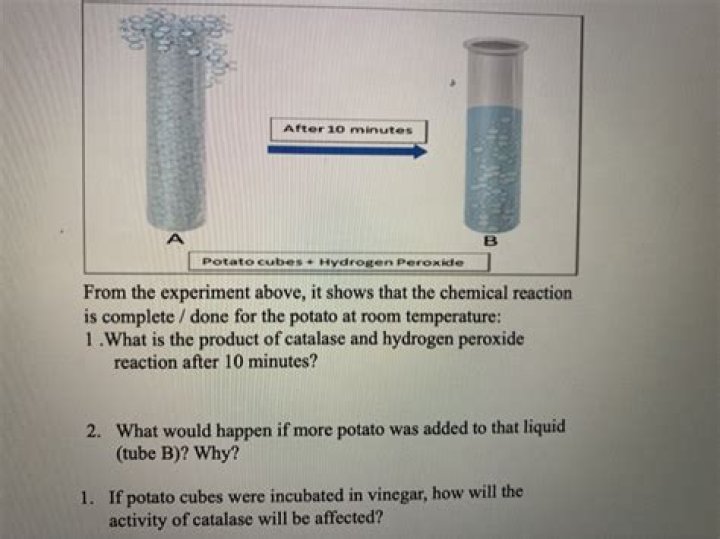 Why is catalase in potatoes