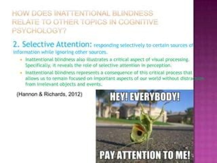 Why is inattentional blindness important