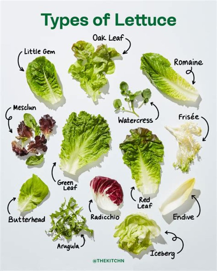 Why is it called Boston lettuce