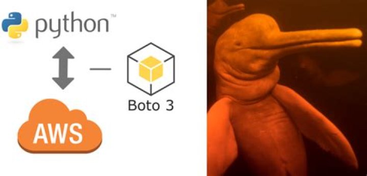 Why is it called boto3