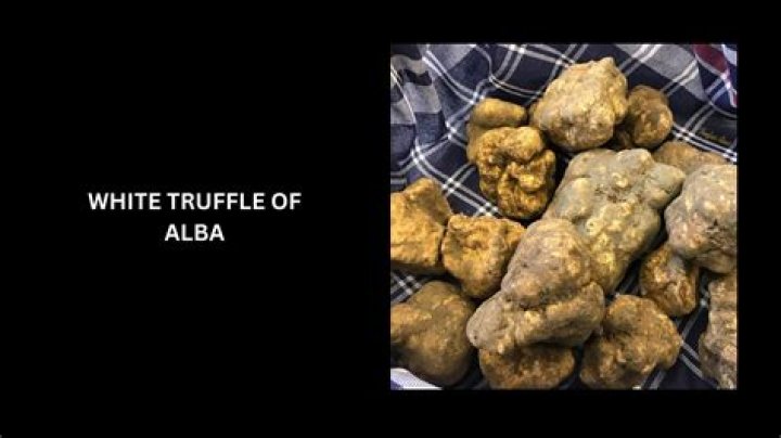 Why is Italian white Alba truffle expensive