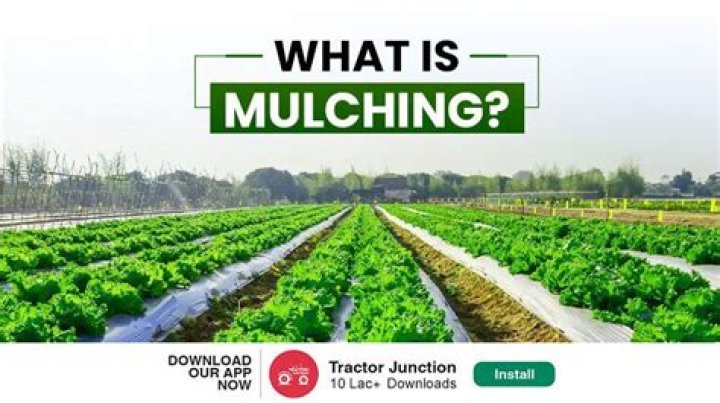 Why is mulching done