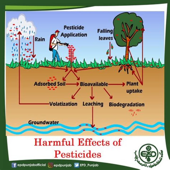 Why is the use of pesticides bad