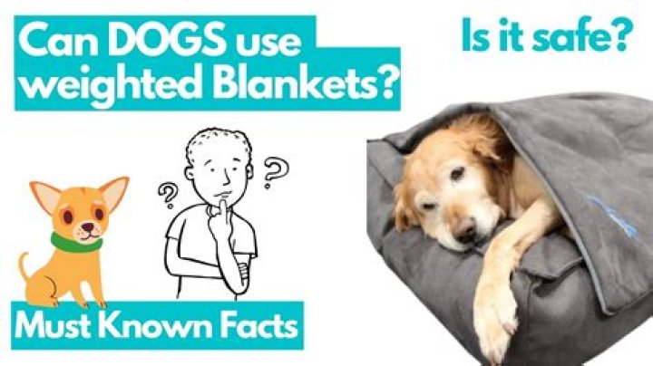 Will A Weighted Blanket Suffocate My Dog