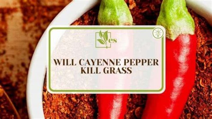 Will cayenne pepper keep dogs off lawn
