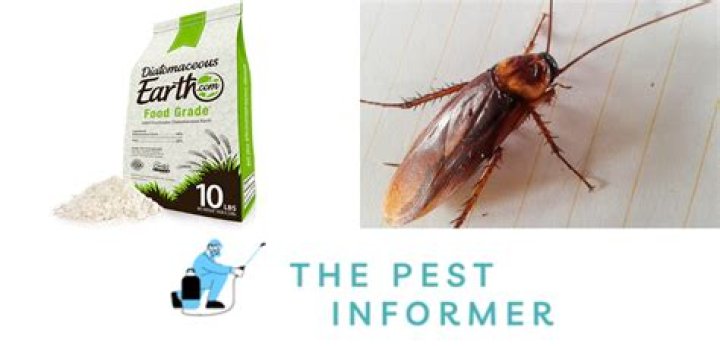 Will diatomaceous earth kill cockroaches