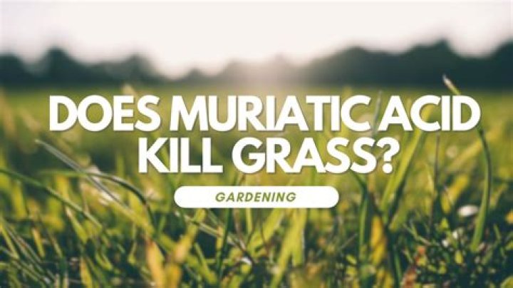 Will muriatic acid kill grass